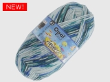 Opal 11535 水彩画 フィッシュ&フィッシュ
