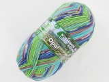 Opal  11365 シャーフパーテ15 朝もや