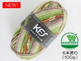 Opal KFS311 スパイス(SP6本撚り)