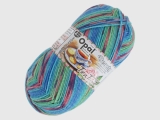 Opal 11511 ビューティー5 カモミール