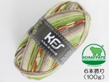 Opal KFS311 スパイス(SP6本撚り)