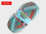 Opal  11740 Opal30周年記念 スタート