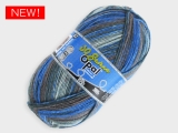 Opal  11741 Opal30周年記念 カラーリング