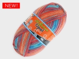Opal  11743 Opal30周年記念 4250メートル