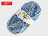 Opal  11744 Opal30周年記念 クーヘン