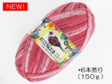 Opal  11731 レーゲンヴァルト22(6本撚り) ジャグラー