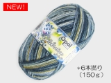 Opal  11692 セレブレーション (6本撚り) ブルーベリーカクテル