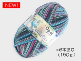 Opal  11694 セレブレーション (6本撚り) アイスカクテル