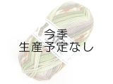 Opal KFS129 スパイス